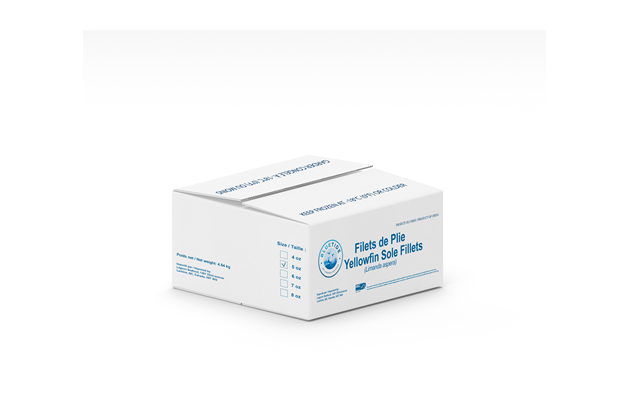 Frozen Wild Sole Fillet – Skin Off – Individually Quick Frozen (IQF) 5oz 4.54kg