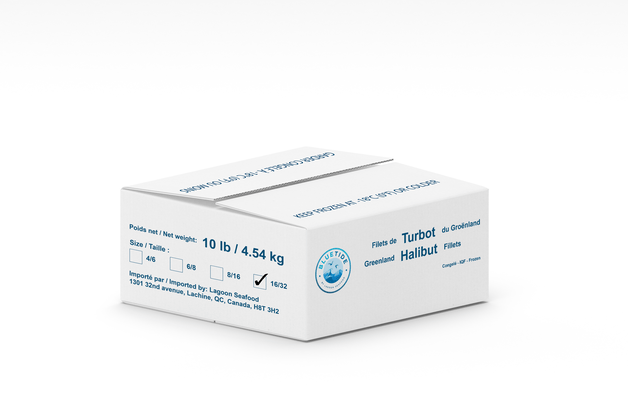 Frozen Wild Turbot Fillet – Layer Packed (LP) 16+ 4.54kg