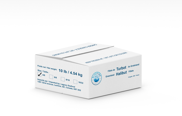 Frozen Wild Turbot Fillet – Layer Packed (LP) 2/4 4.54kg