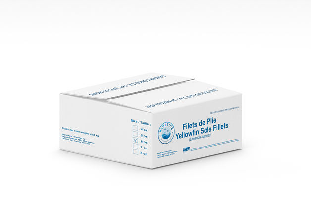 Frozen Wild Sole Fillet – Skin Off – Individually Quick Frozen (IQF) 6oz 4.54kg