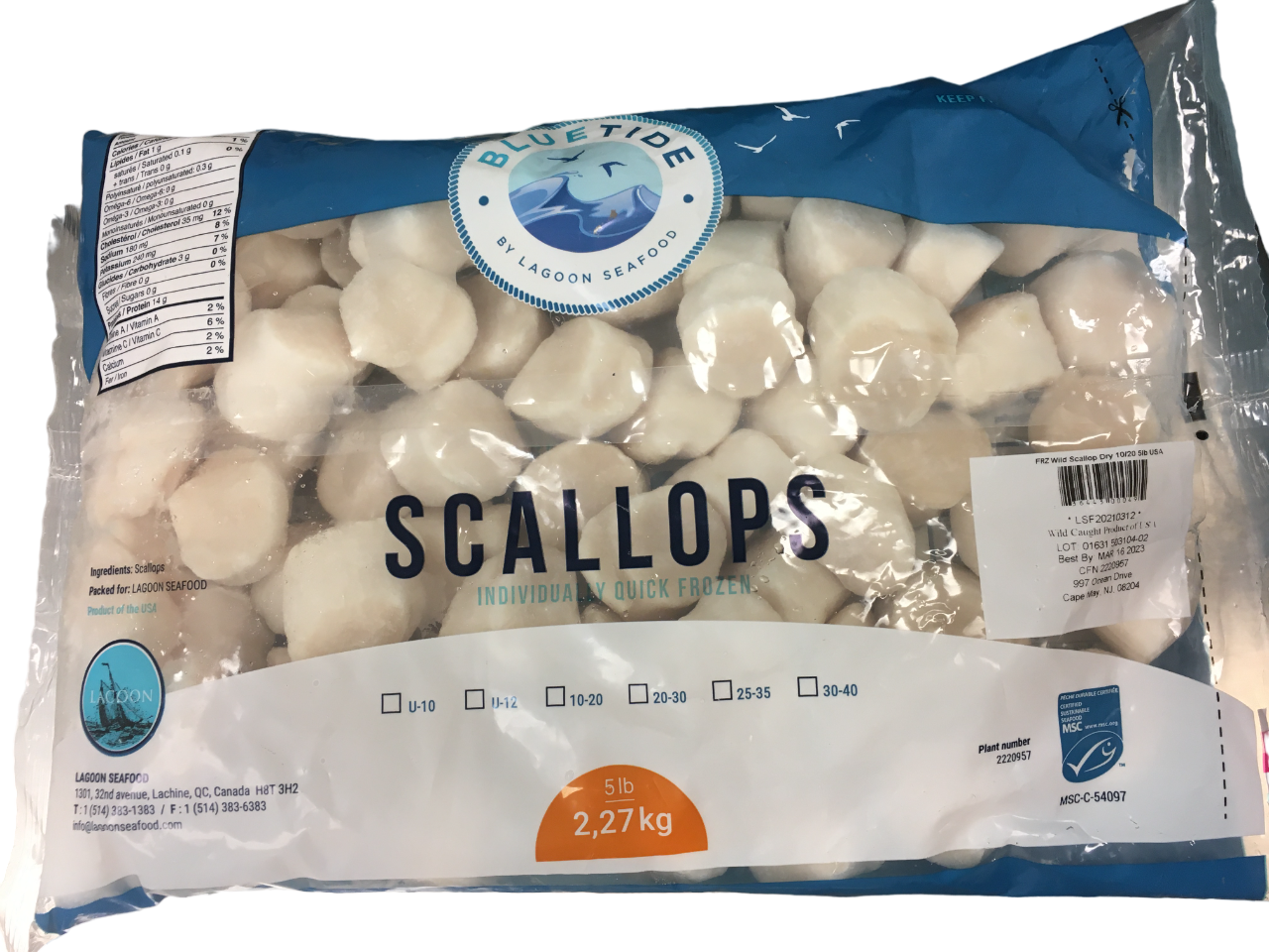 Frozen Wild Scallop Dry U/8  2.27kg