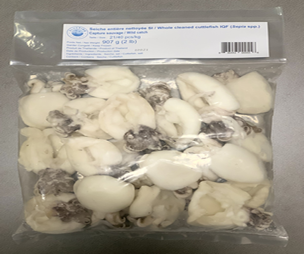 Frozen Wild Cuttle Fish Baby – Gutted 20/40 907g