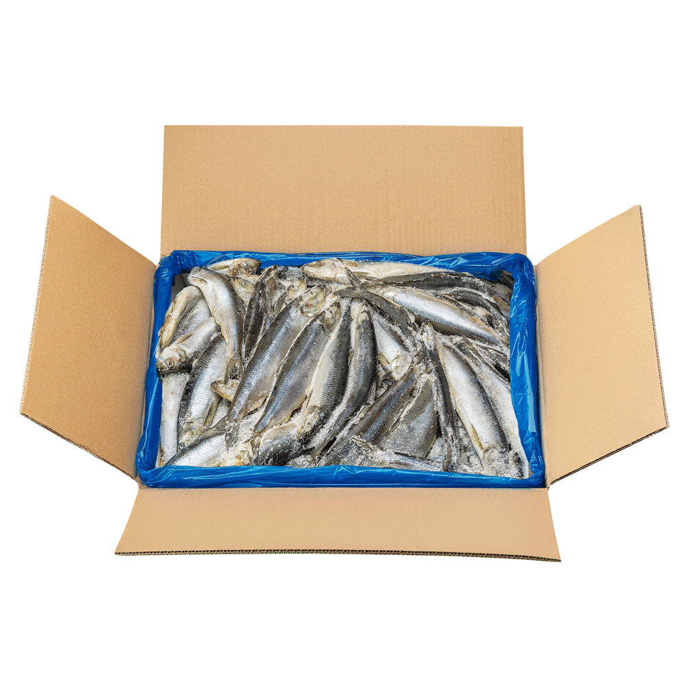 150/250 g 15 kg Frozen Wild Herring Whole Canada Lagoon Seafood