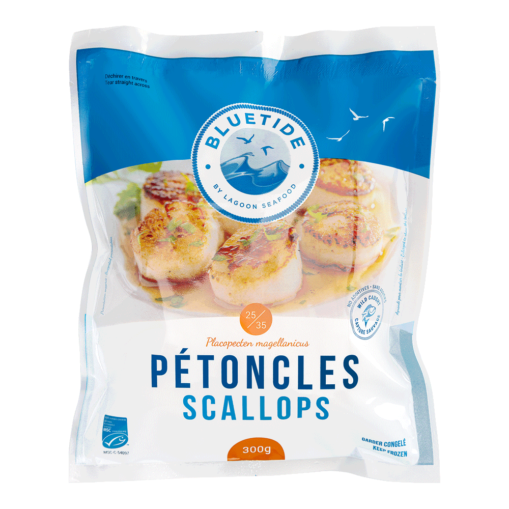 25/35 10 x 300 g Frozen Wild Scallop Dry USA Lagoon Seafood