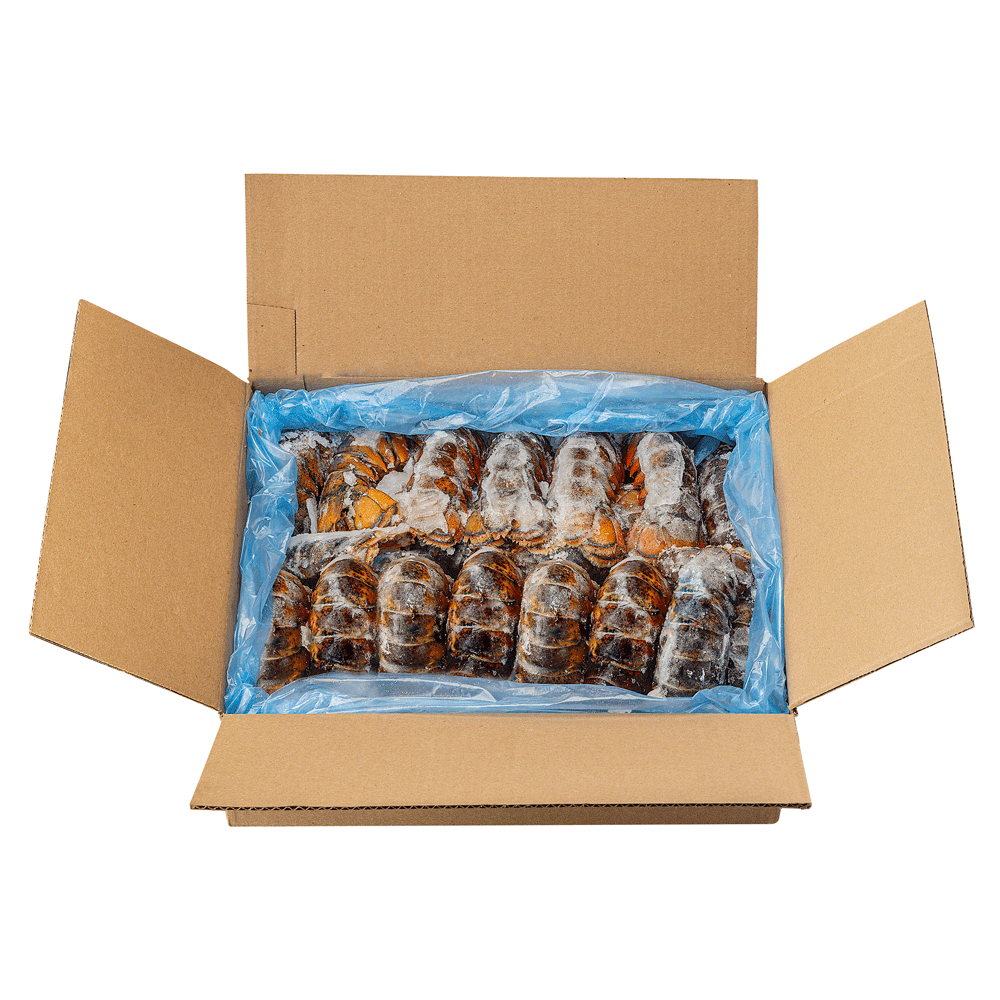 3/4 oz 4.54 kg Frozen Wild Lobster Tail Canada Lagoon Seafood