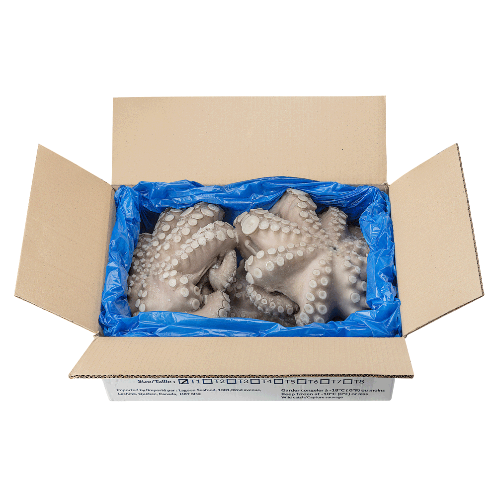 T1 4 kg+ Frozen Wild Octopus Whole IQF Morocco Lagoon Seafood