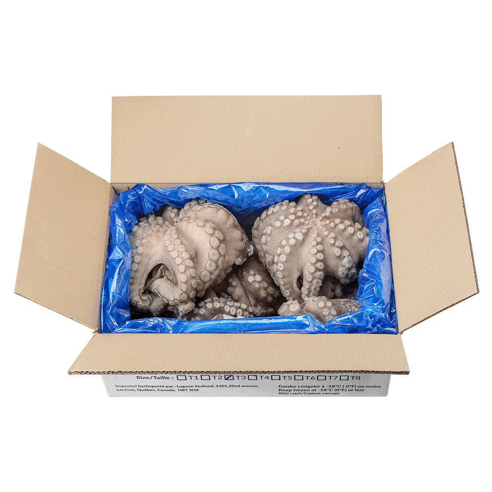 T3 2/3 kg ±12 kg Frozen Wild Octopus Whole IQF Morocco Lagoon Seafood