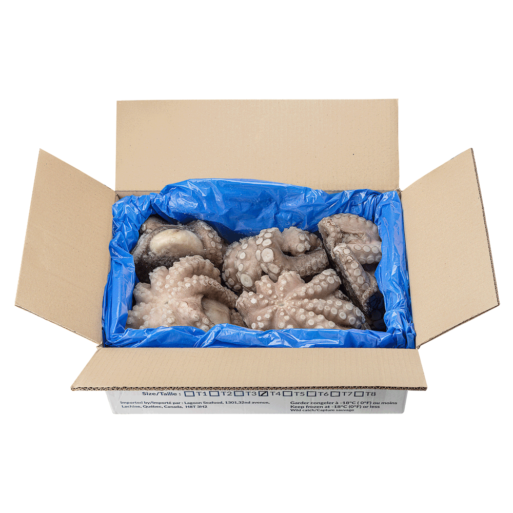 T4 1.5/2 kg ±12 kg Frozen Wild Octopus Whole IQF Morocco Lagoon Seafood