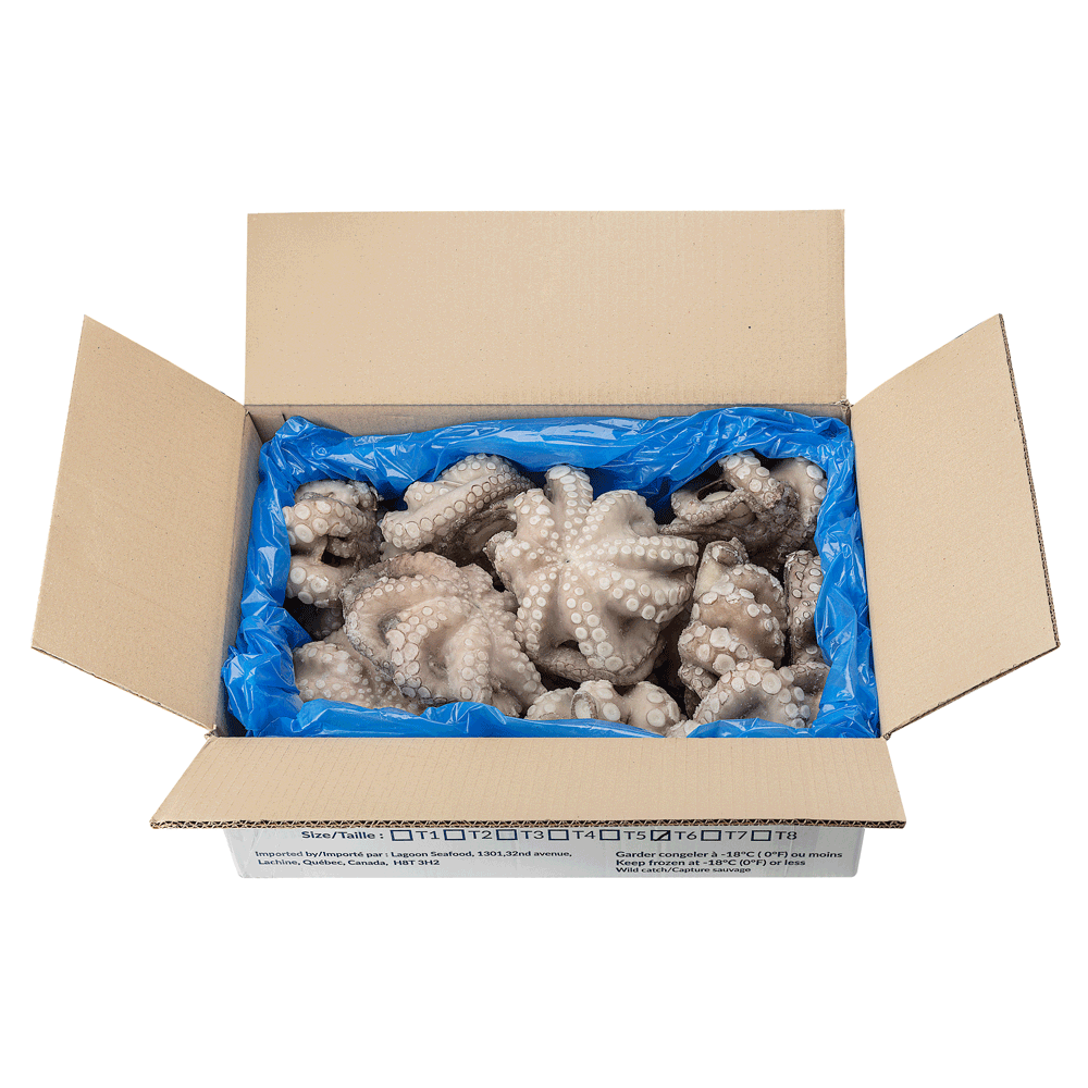 T6 0.8/1.2 kg ±12 kg Frozen Wild Octopus Whole IQF Morocco Lagoon Seafood