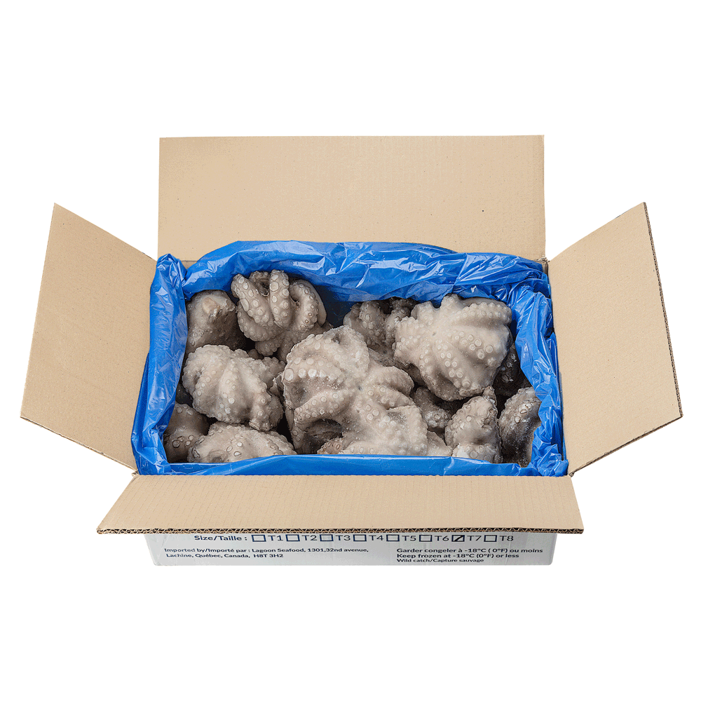 T7 0.5/0.8 kg ±12 kg Frozen Wild Octopus Whole IQF Morocco Lagoon Seafood