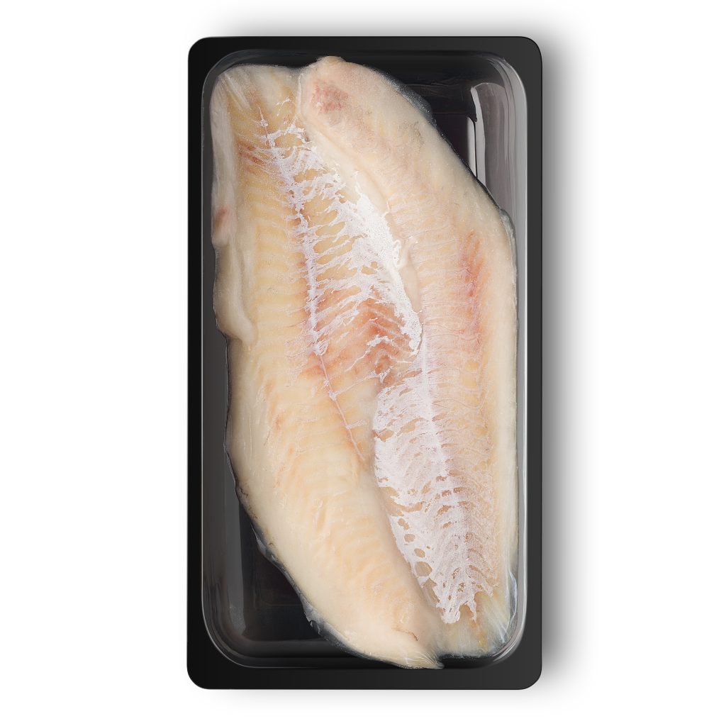 Haddock fillet