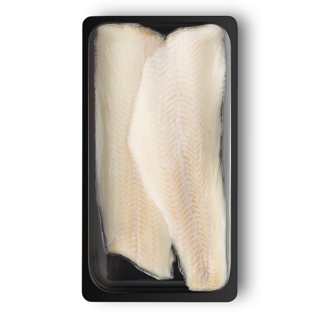 Filet de Turbot