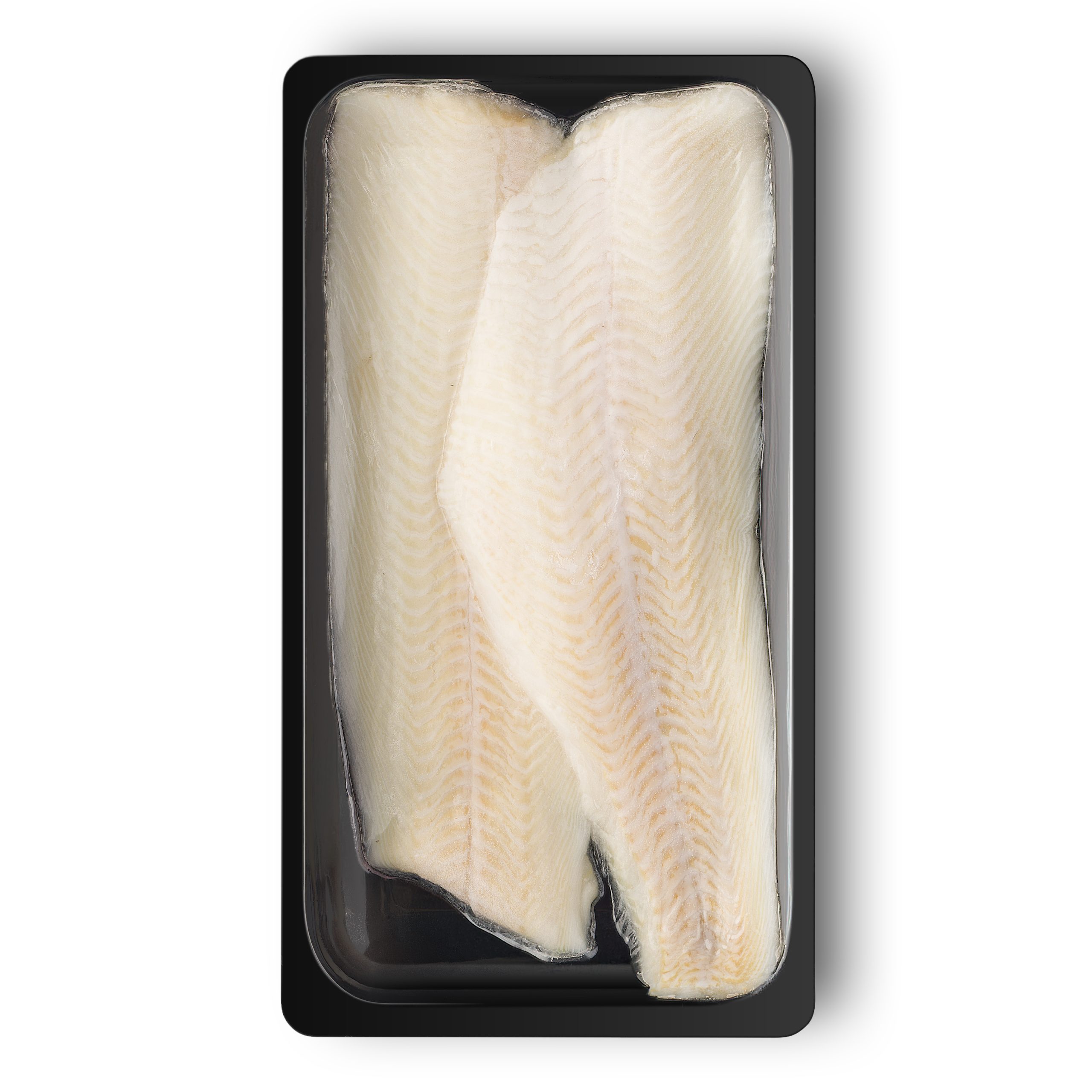 Filet de Turbot