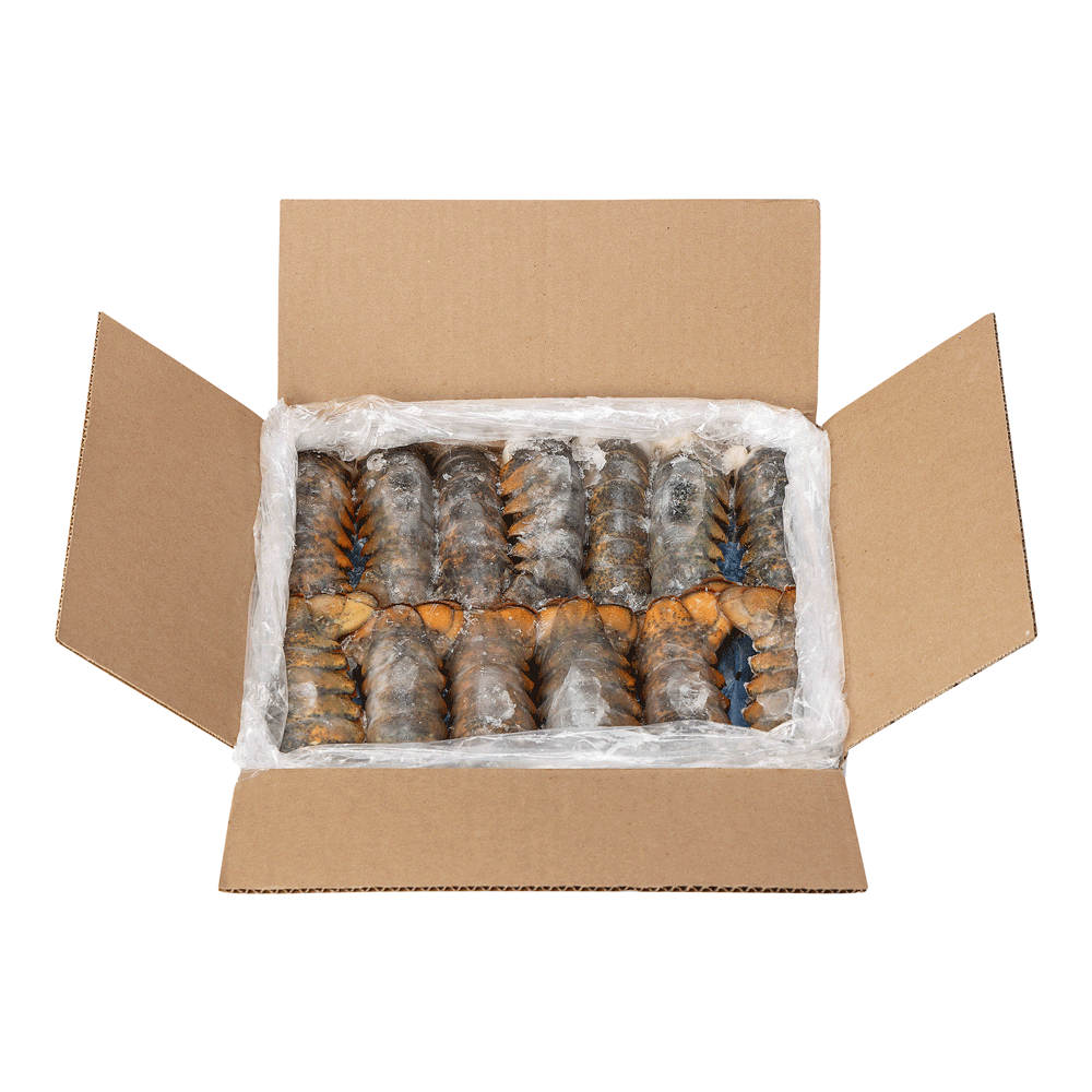 5/6 oz 4.54 kg Frozen Wild Lobster Tail Canada