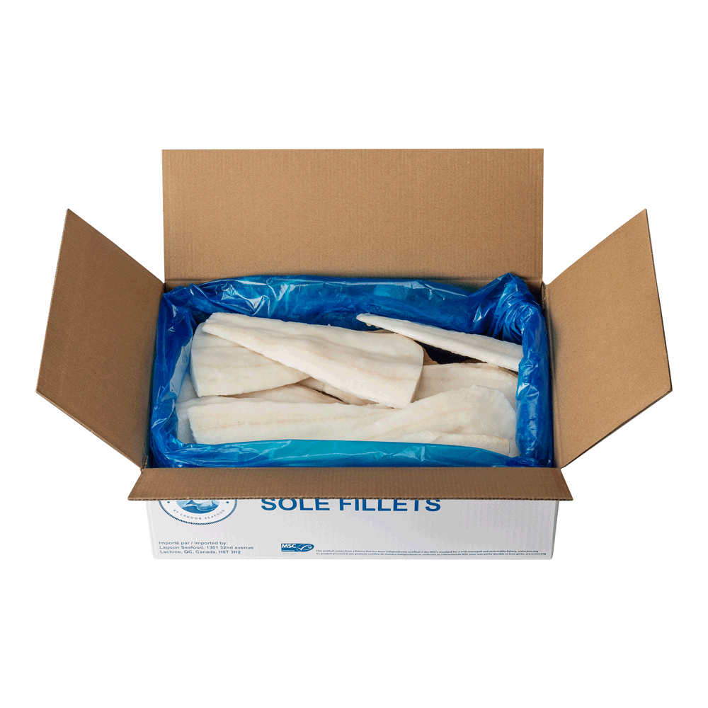 7 oz 4.54 kg Frozen Wild Sole Flathead Fillet Skin-Off MSC China Lagoon Seafood